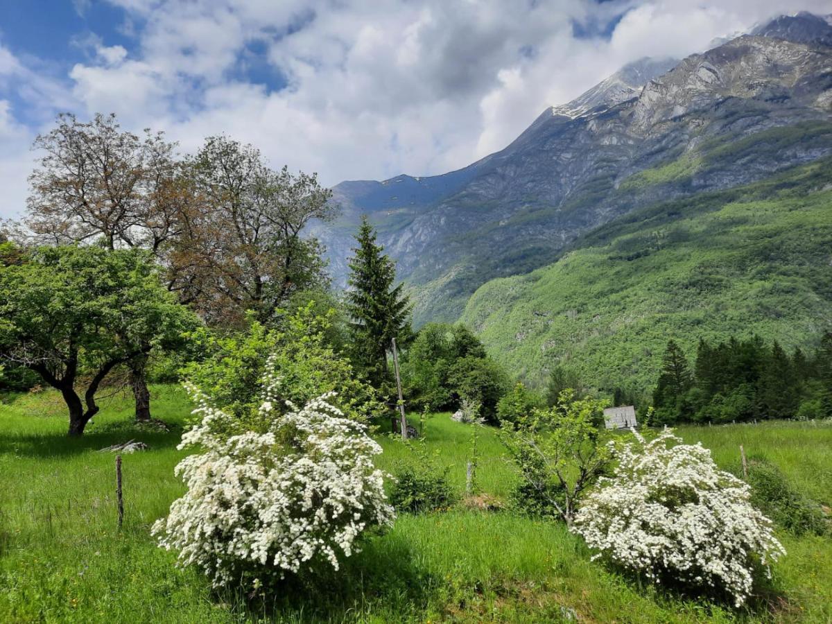 Pocitnisko Stanovanje Planja Soča Exterior foto