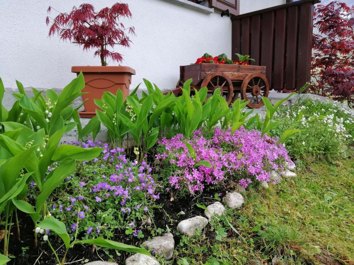 Pocitnisko Stanovanje Planja Soča Exterior foto
