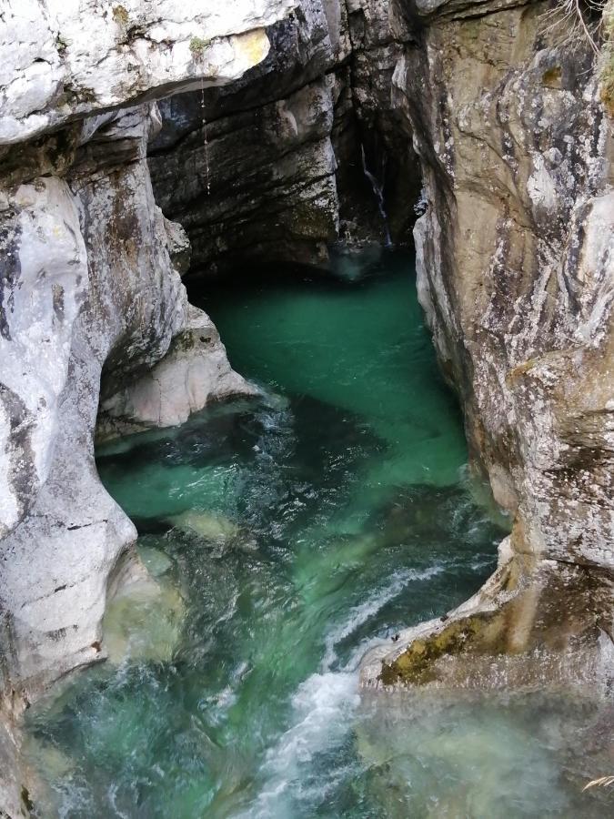 Pocitnisko Stanovanje Planja Soča Exterior foto
